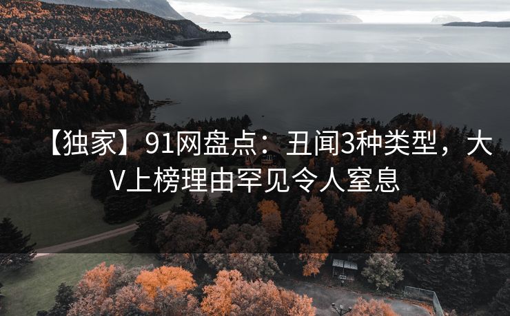 【独家】91网盘点：丑闻3种类型，大V上榜理由罕见令人窒息