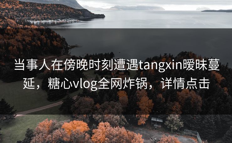 当事人在傍晚时刻遭遇tangxin暧昧蔓延，糖心vlog全网炸锅，详情点击