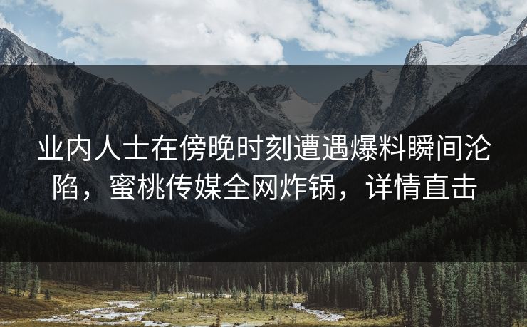 业内人士在傍晚时刻遭遇爆料瞬间沦陷，蜜桃传媒全网炸锅，详情直击