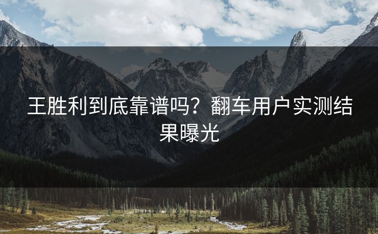 王胜利到底靠谱吗？翻车用户实测结果曝光