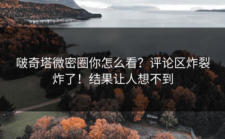 啵奇塔微密圈你怎么看？评论区炸裂炸了！结果让人想不到