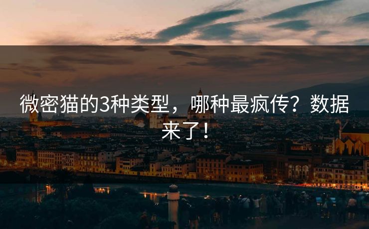 微密猫的3种类型，哪种最疯传？数据来了！