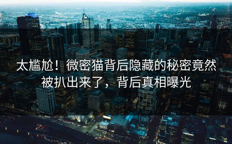 太尴尬！微密猫背后隐藏的秘密竟然被扒出来了，背后真相曝光