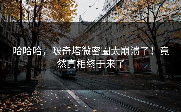 哈哈哈，啵奇塔微密圈太崩溃了！竟然真相终于来了