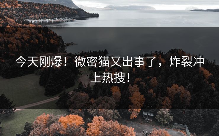 今天刚爆！微密猫又出事了，炸裂冲上热搜！