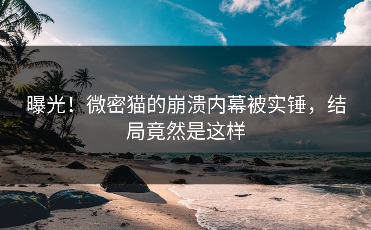 曝光！微密猫的崩溃内幕被实锤，结局竟然是这样