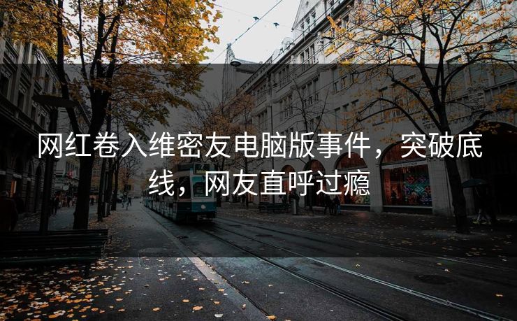 网红卷入维密友电脑版事件，突破底线，网友直呼过瘾