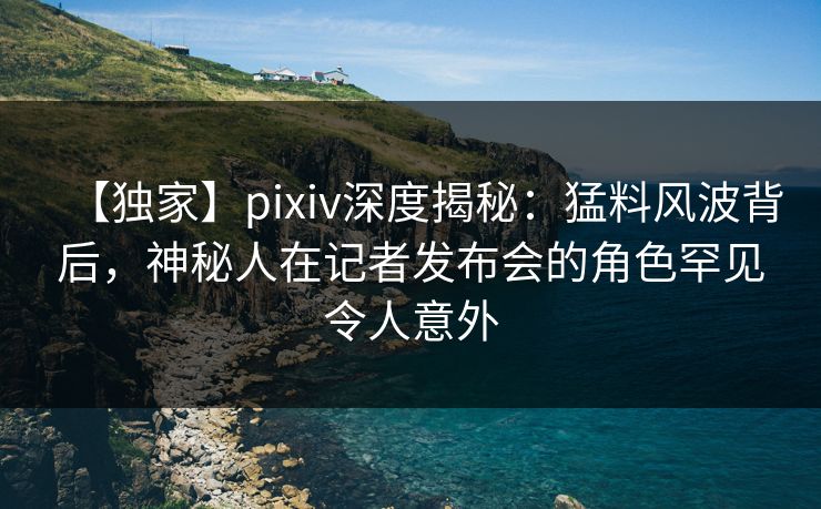 【独家】pixiv深度揭秘：猛料风波背后，神秘人在记者发布会的角色罕见令人意外