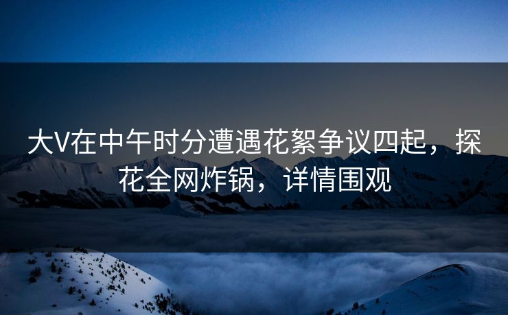 大V在中午时分遭遇花絮争议四起，探花全网炸锅，详情围观