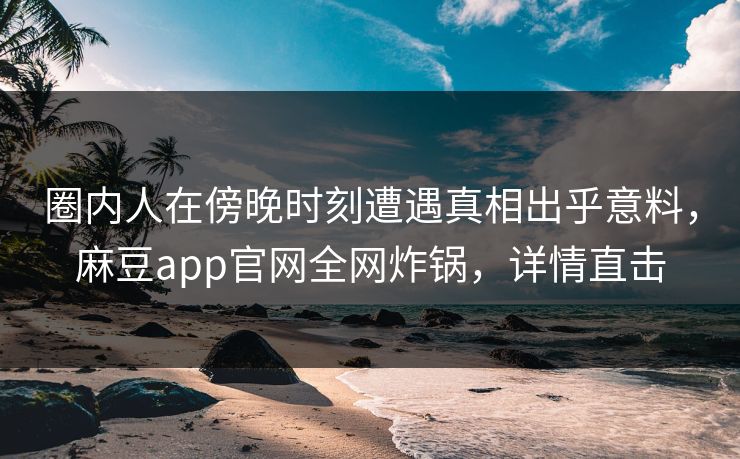 圈内人在傍晚时刻遭遇真相出乎意料，麻豆app官网全网炸锅，详情直击