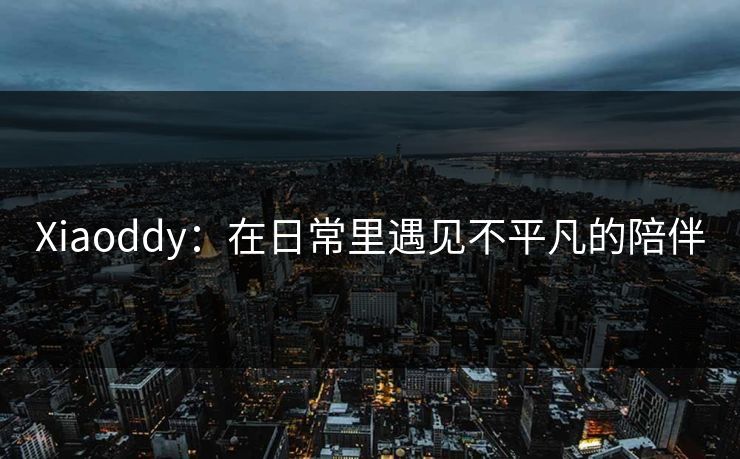 Xiaoddy：在日常里遇见不平凡的陪伴