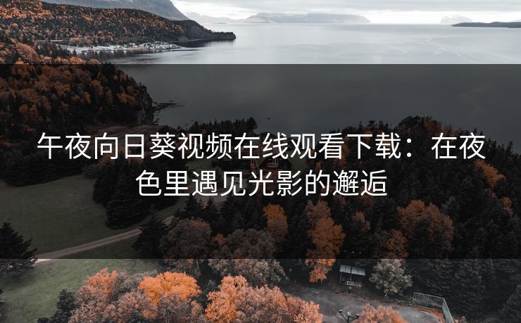午夜向日葵视频在线观看下载：在夜色里遇见光影的邂逅