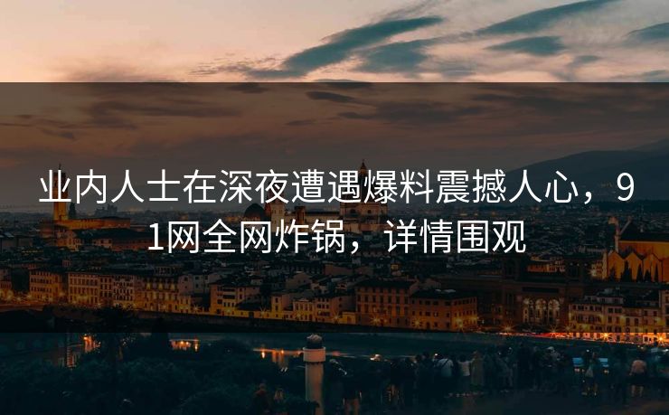 业内人士在深夜遭遇爆料震撼人心，91网全网炸锅，详情围观