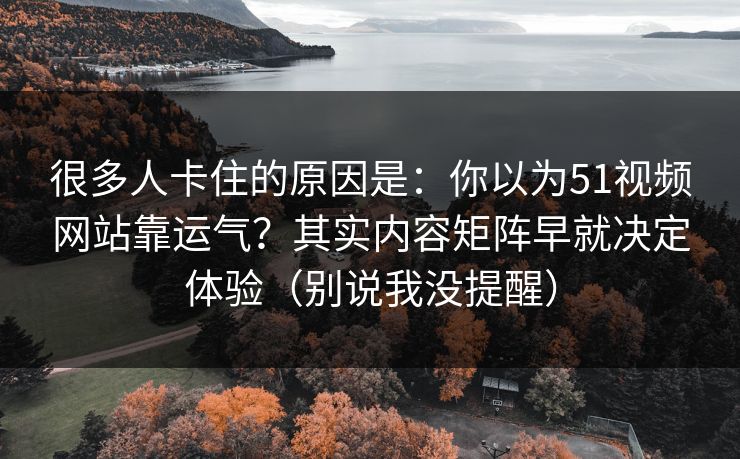 很多人卡住的原因是：你以为51视频网站靠运气？其实内容矩阵早就决定体验（别说我没提醒）